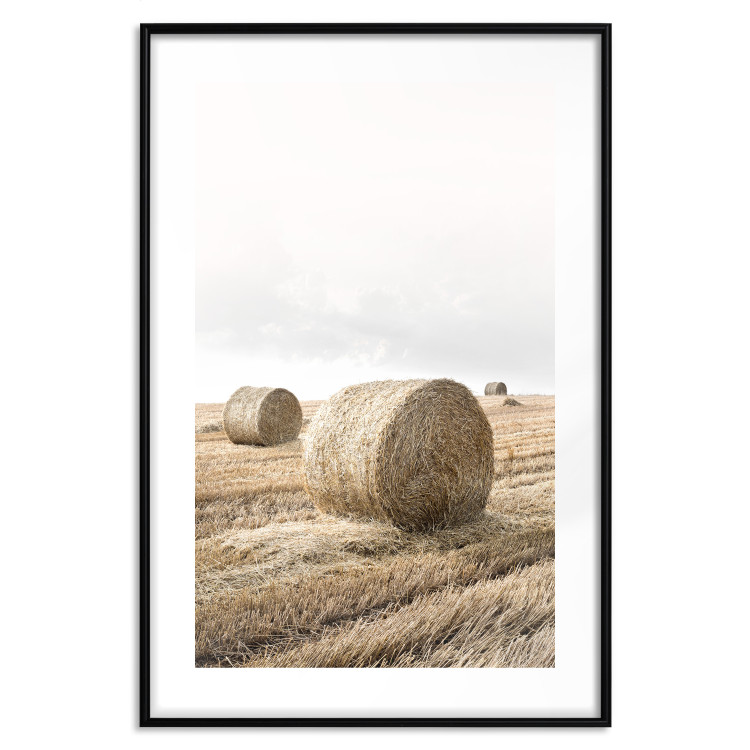 Poster Haystack - rural landscape overlooking brown fields during harvest 137688 additionalImage 19