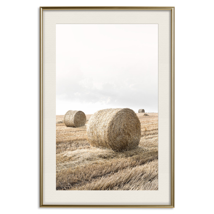 Poster Haystack - rural landscape overlooking brown fields during harvest 137688 additionalImage 18