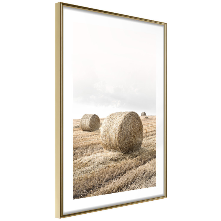 Poster Haystack - rural landscape overlooking brown fields during harvest 137688 additionalImage 5