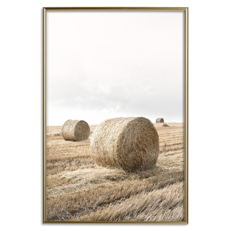 Poster Haystack - rural landscape overlooking brown fields during harvest 137688 additionalImage 11
