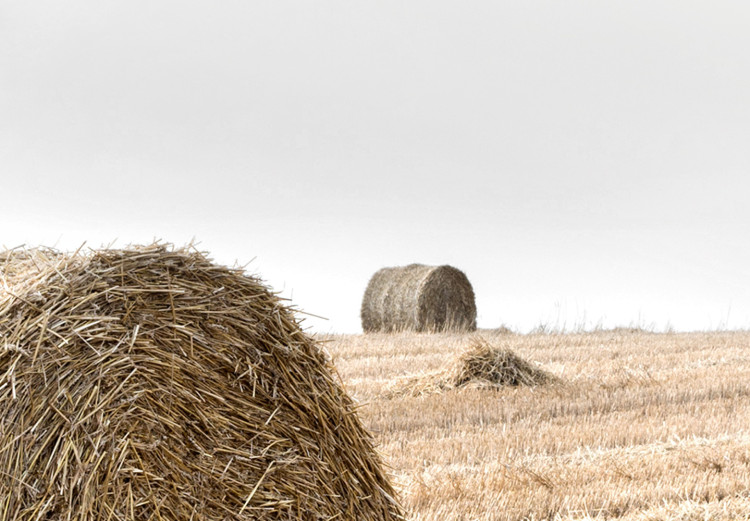 Poster Haystack - rural landscape overlooking brown fields during harvest 137688 additionalImage 6