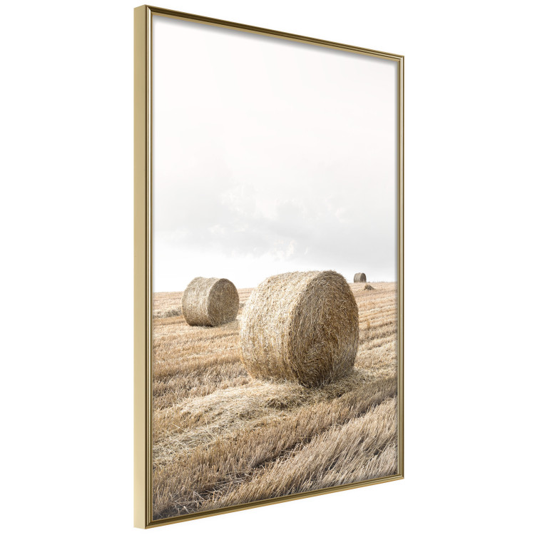 Poster Haystack - rural landscape overlooking brown fields during harvest 137688 additionalImage 3