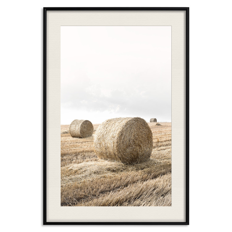 Poster Haystack - rural landscape overlooking brown fields during harvest 137688 additionalImage 17