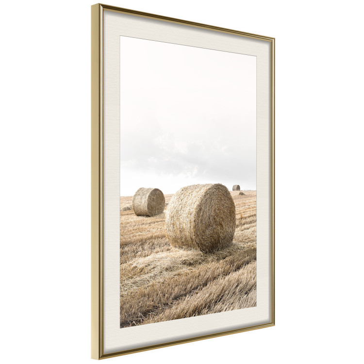 Poster Haystack - rural landscape overlooking brown fields during harvest 137688 additionalImage 9