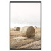 Poster Haystack - rural landscape overlooking brown fields during harvest 137688 additionalThumb 12