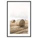 Poster Haystack - rural landscape overlooking brown fields during harvest 137688 additionalThumb 14