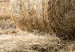 Poster Haystack - rural landscape overlooking brown fields during harvest 137688 additionalThumb 7