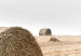 Poster Haystack - rural landscape overlooking brown fields during harvest 137688 additionalThumb 6