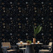 Wallpaper Cosmos - Decorative Symbols of the Sun and Moon in the Night Sky 146388 additionalThumb 5