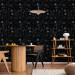 Wallpaper Cosmos - Decorative Symbols of the Sun and Moon in the Night Sky 146388 additionalThumb 8