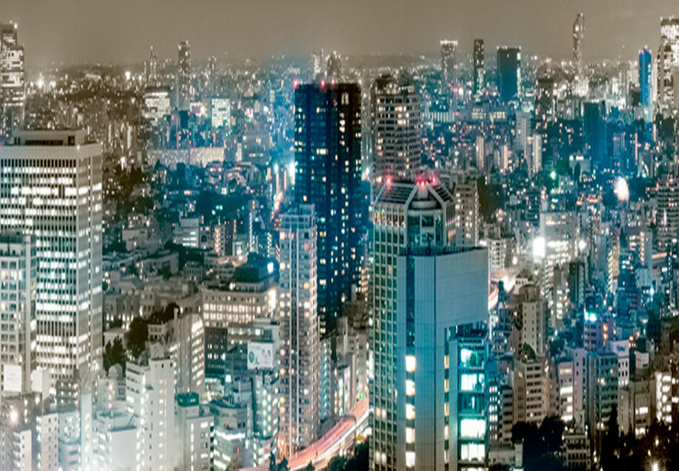 Large canvas print Tokyo Panorama [Large Format] 149088 additionalImage 4