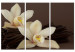 Canvas Orchid With Vanilla (3 Parts) 150088