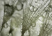 Print On Glass Glowing Dandelions - Green [Glass] 150588 additionalThumb 5