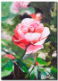 Canvas Pink Blooming Flower (1-piece) - plant motif with a rose flower 46888