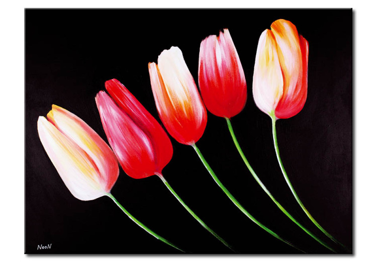 Canvas Art Print Mysterious tulips 48688