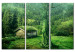 Canvas Art Print Forest ecosystem 58488