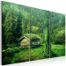 Canvas Art Print Forest ecosystem 58488 additionalThumb 2