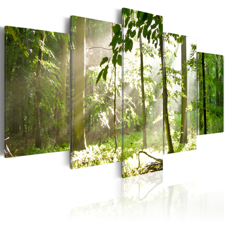 Canvas Print Sunbeam among the trees 58588 additionalImage 2