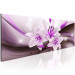 Canvas Purple Beauty 64388 additionalThumb 2