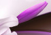 Canvas Purple Beauty 64388 additionalThumb 4