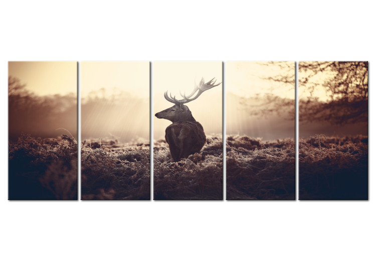Canvas Stag in the Wilderness (5-piece) - Deer amidst Beige Field Grass 105898