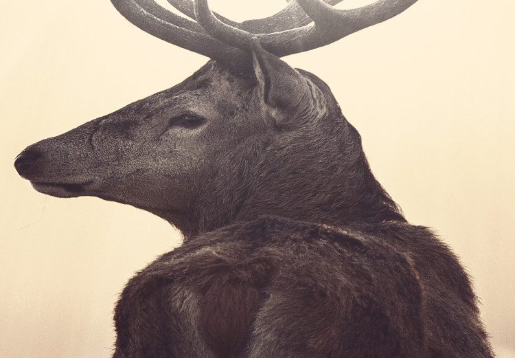 Canvas Stag in the Wilderness (5-piece) - Deer amidst Beige Field Grass 105898 additionalImage 5