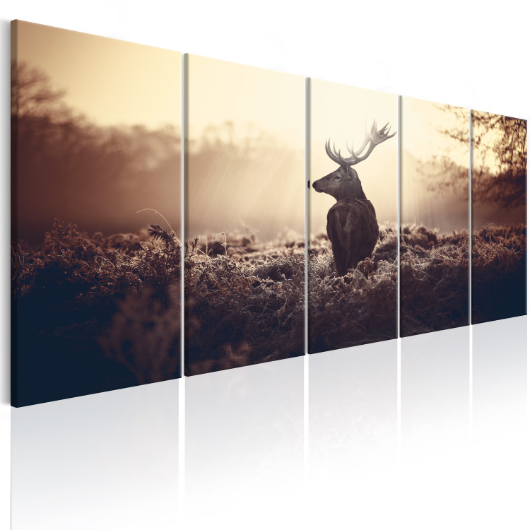 Canvas Stag in the Wilderness (5-piece) - Deer amidst Beige Field Grass 105898 additionalImage 2