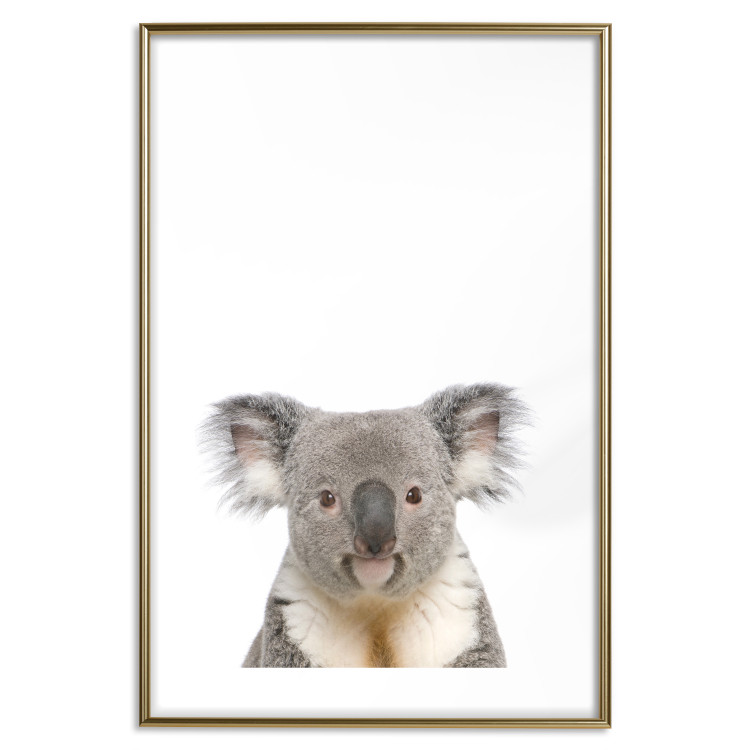 Wall Poster Koala - composition for children with a gray and white Australian mammal 114398 additionalImage 14