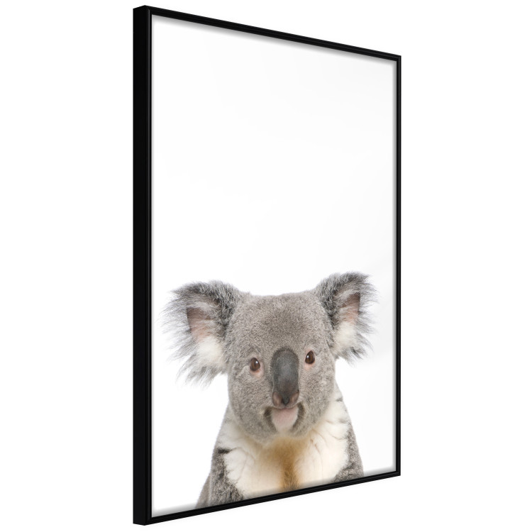 Wall Poster Koala - composition for children with a gray and white Australian mammal 114398 additionalImage 10