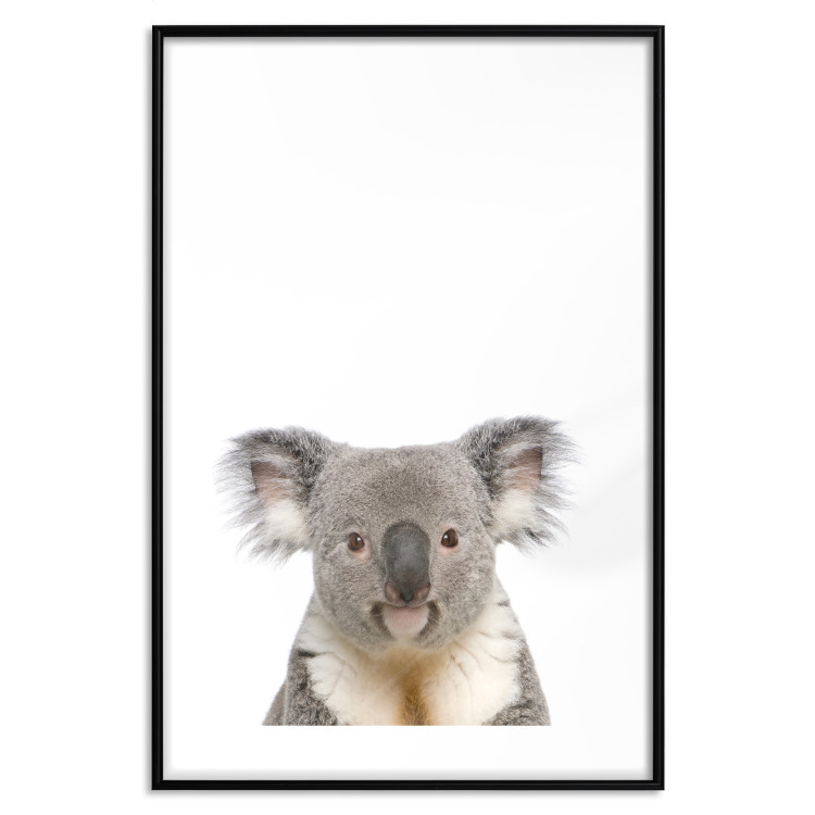 Wall Poster Koala - composition for children with a gray and white Australian mammal 114398 additionalImage 15