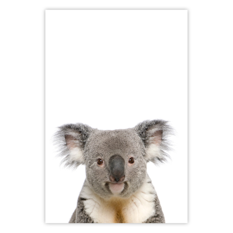 Wall Poster Koala - composition for children with a gray and white Australian mammal 114398