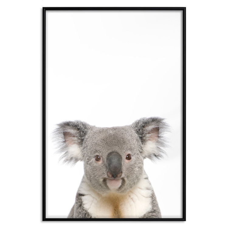 Wall Poster Koala - composition for children with a gray and white Australian mammal 114398 additionalImage 18