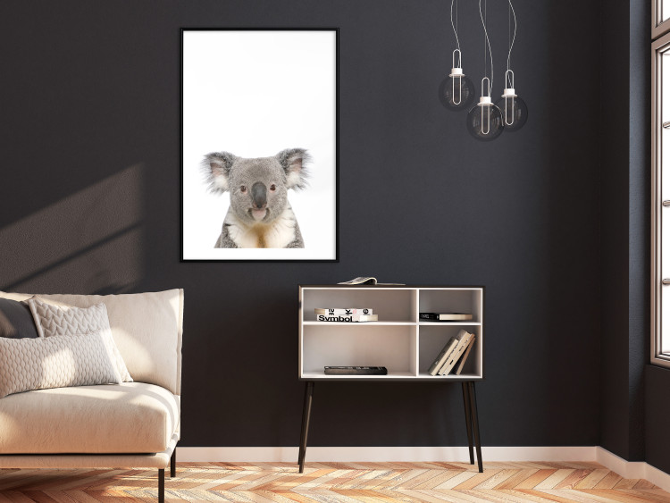 Wall Poster Koala - composition for children with a gray and white Australian mammal 114398 additionalImage 4