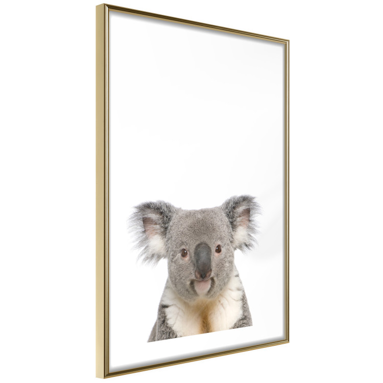 Wall Poster Koala - composition for children with a gray and white Australian mammal 114398 additionalImage 6