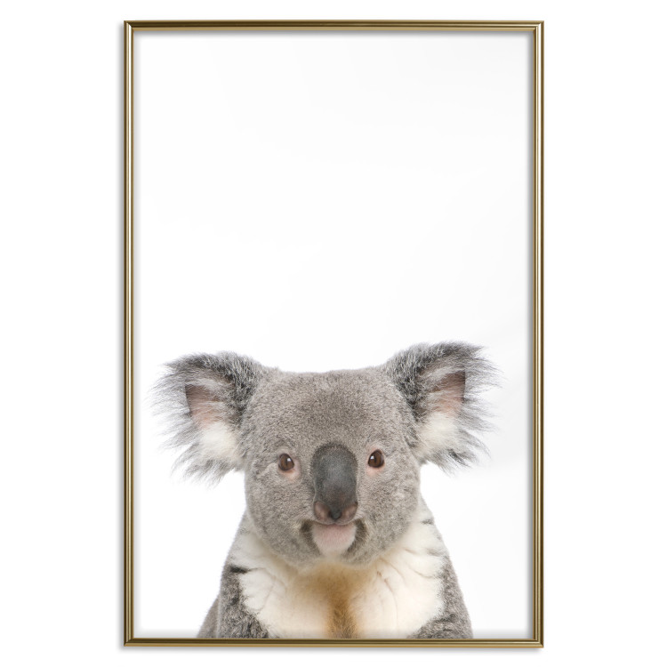 Wall Poster Koala - composition for children with a gray and white Australian mammal 114398 additionalImage 16