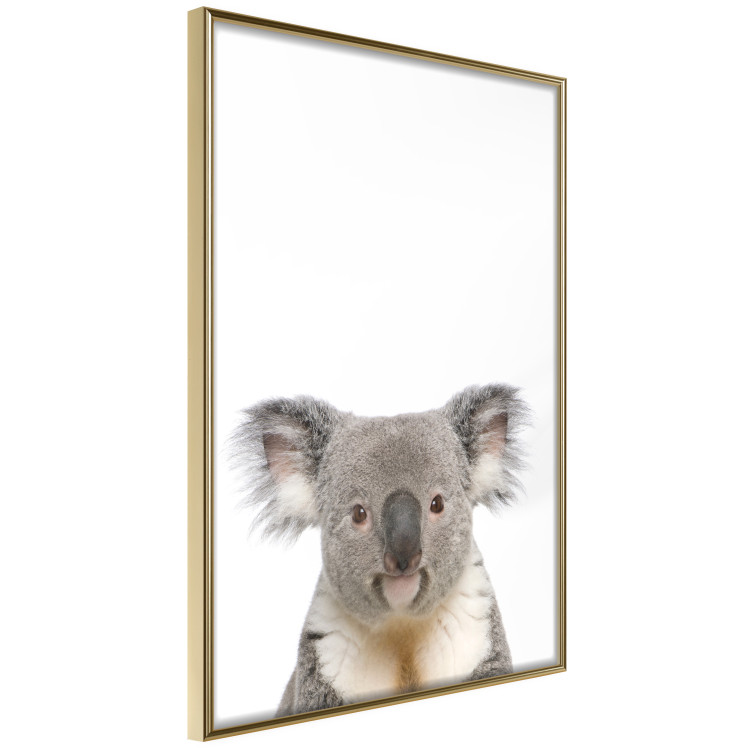 Wall Poster Koala - composition for children with a gray and white Australian mammal 114398 additionalImage 12