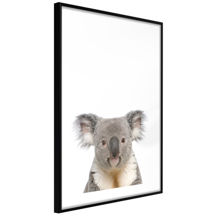 Wall Poster Koala - composition for children with a gray and white Australian mammal 114398 additionalImage 11