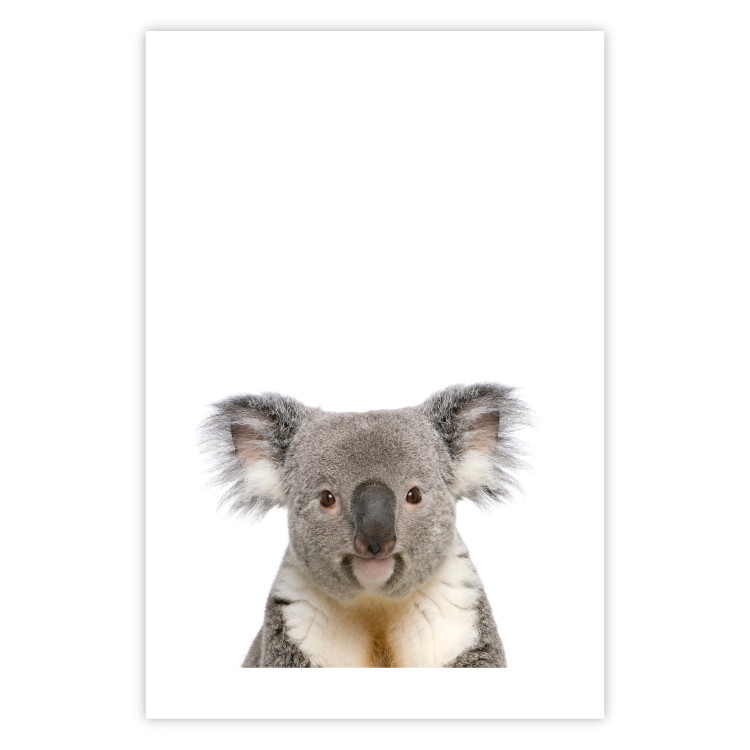 Wall Poster Koala - composition for children with a gray and white Australian mammal 114398 additionalImage 19