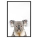 Wall Poster Koala - composition for children with a gray and white Australian mammal 114398 additionalThumb 18