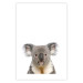 Wall Poster Koala - composition for children with a gray and white Australian mammal 114398 additionalThumb 19