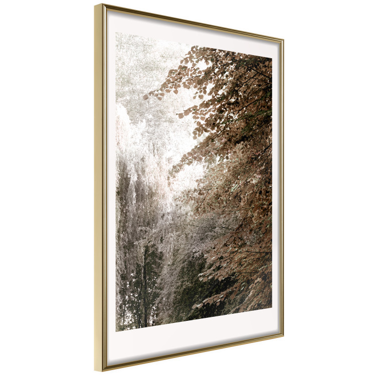Poster Sepia Park - autumn landscape with a view of dense trees 119198 additionalImage 4