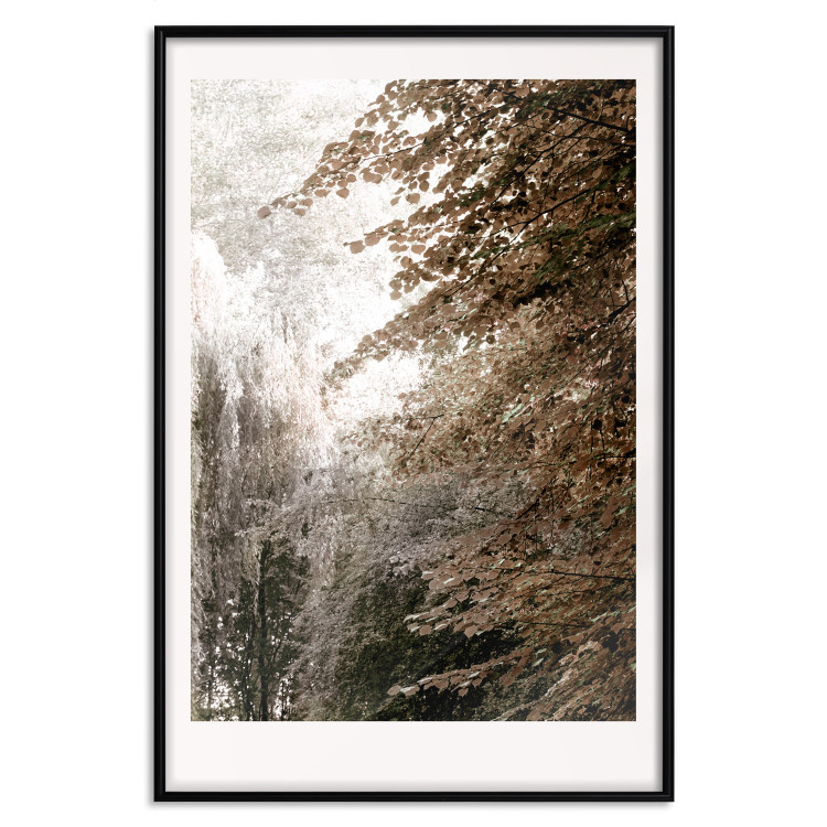 Poster Sepia Park - autumn landscape with a view of dense trees 119198 additionalImage 18
