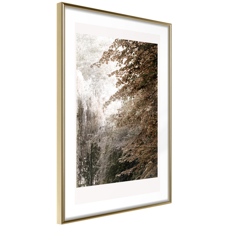 Poster Sepia Park - autumn landscape with a view of dense trees 119198 additionalImage 12