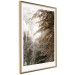 Poster Sepia Park - autumn landscape with a view of dense trees 119198 additionalThumb 4
