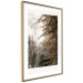 Poster Sepia Park - autumn landscape with a view of dense trees 119198 additionalThumb 12