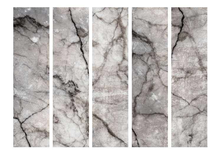 Room Separator Gray Marble II - stone texture of gray marble with dark patterns 123298 additionalImage 3