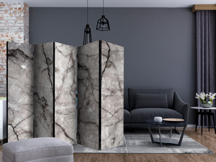 Room Separator Gray Marble II - stone texture of gray marble with dark patterns 123298 additionalImage 4