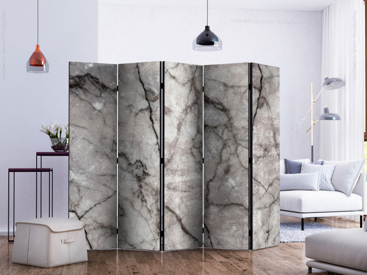 Room Separator Gray Marble II - stone texture of gray marble with dark patterns 123298 additionalImage 2