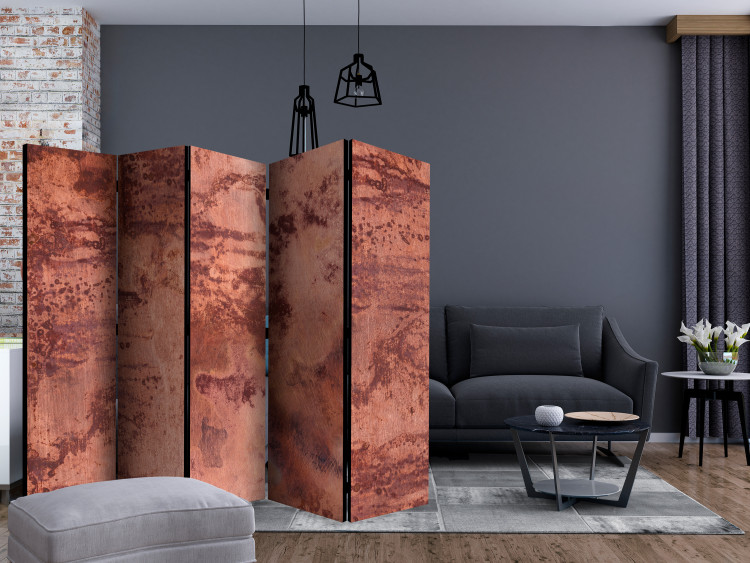 Folding Screen Red Sheet II (5-piece) - composition with a stone texture 124298 additionalImage 4