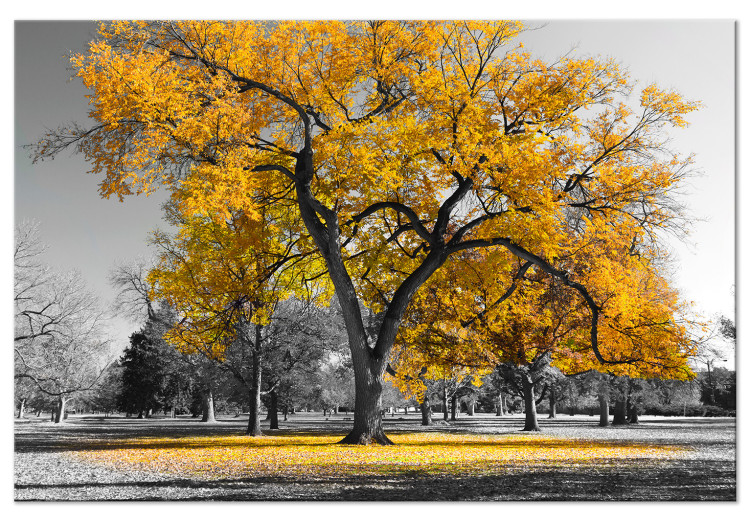 Large canvas print Autumn in the Park (Gold) [Large Format] 125598